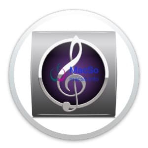Avid Sibelius Ultimate 2020.6 Mac原生中文破解版