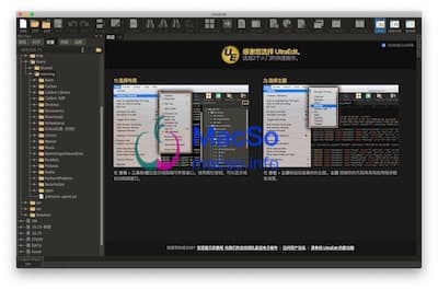 UltraEdit 主界面