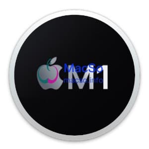 Apple Silicon M1 应用闪退的解决办法-MacWen