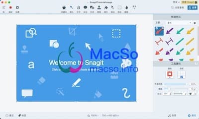 Snagit 界面