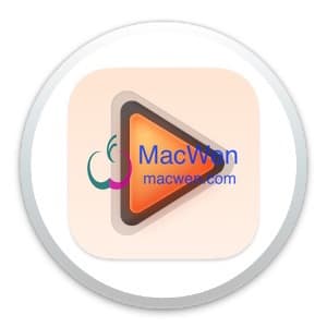 Elmedia Player Pro 8.10 Mac原生中文破解版-MacWen