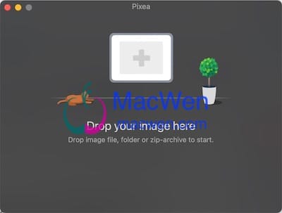 Pixea 界面